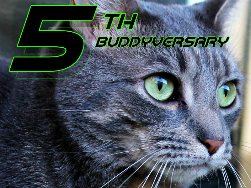 buddyversaryjpg