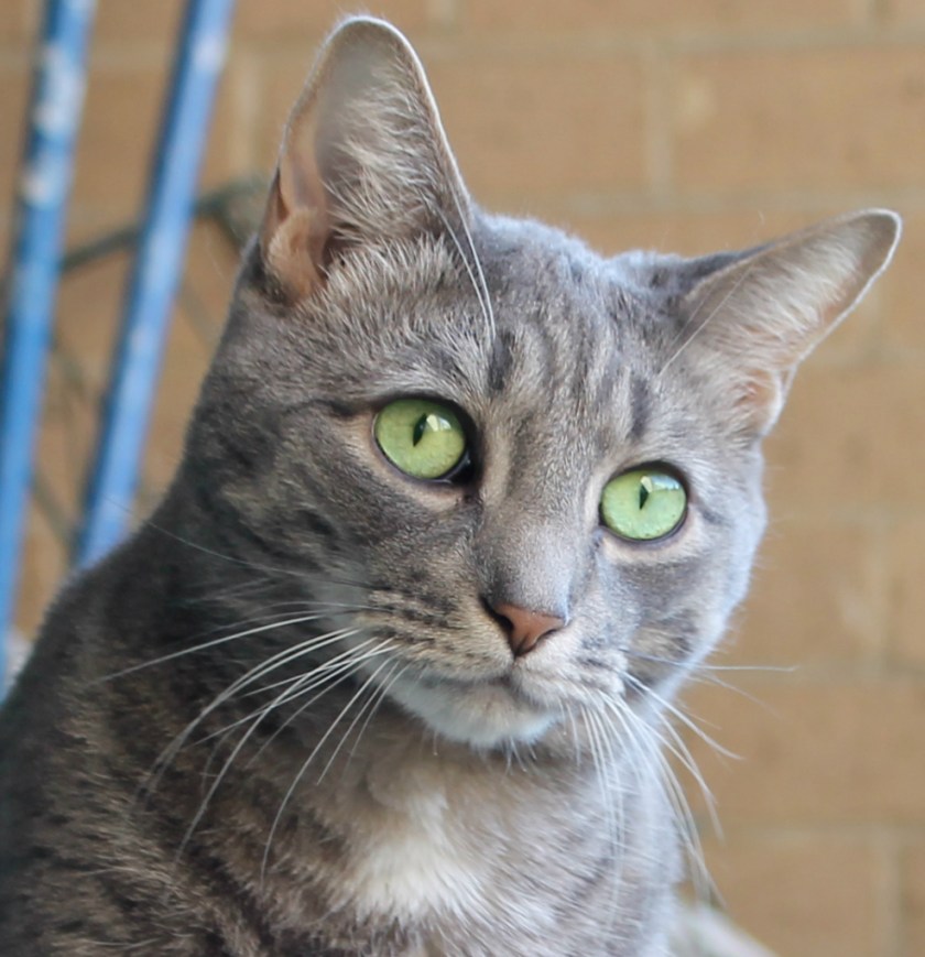 5511A916-681D-410B-8A2D-F8233BC1CD08