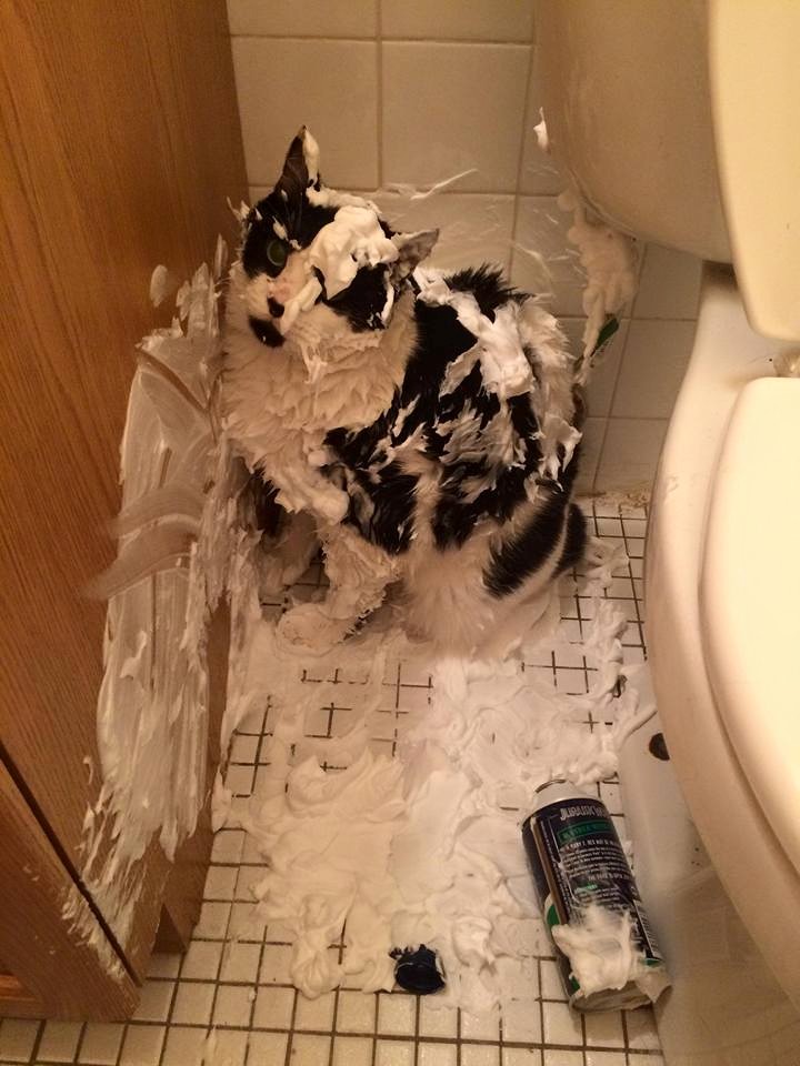 Dear Buddy: MOAR&nbsp;Treats!