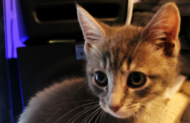 Buddy and the&nbsp;People