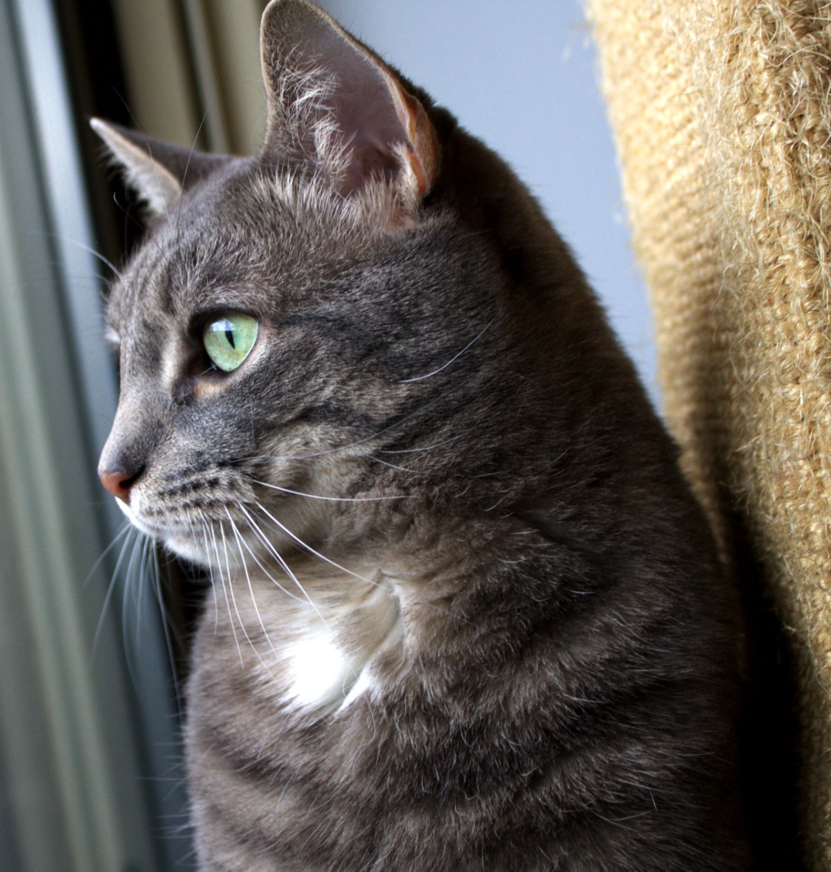 Let’s Groove Tonight!