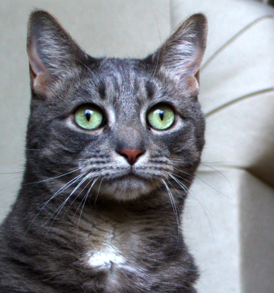 WANTED: Handy Human for Home&nbsp;Improvement