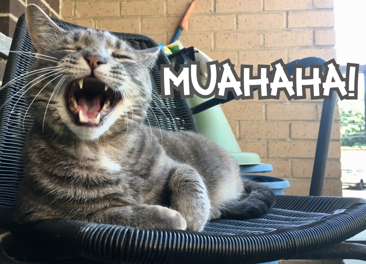 My Servant Has&nbsp;Returned!