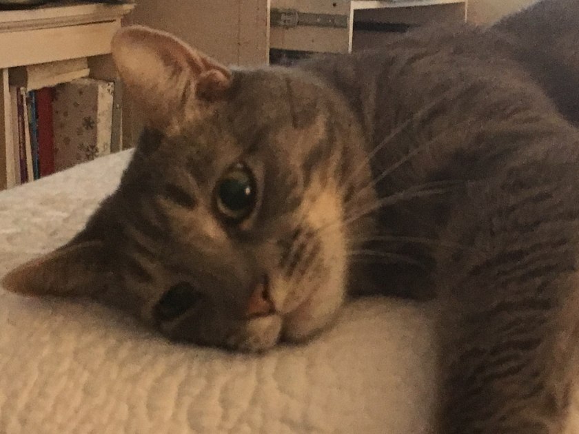 A52EC0C3-B99F-4115-BF37-59264429DFCF