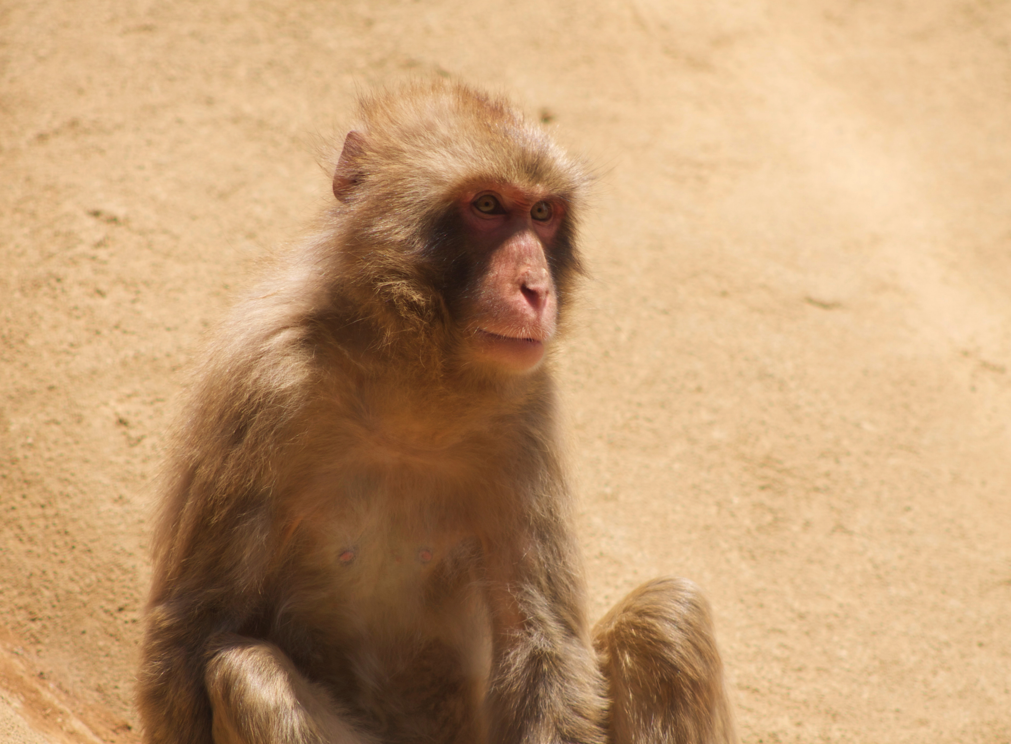 AEBC32E7-D010-4C05-B7E6-E84CD5E690FB