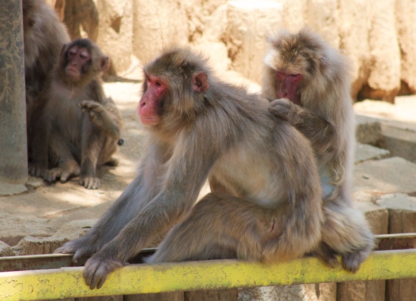 B26CAB6A-9ADF-4AA7-A943-7F8DFCC15176