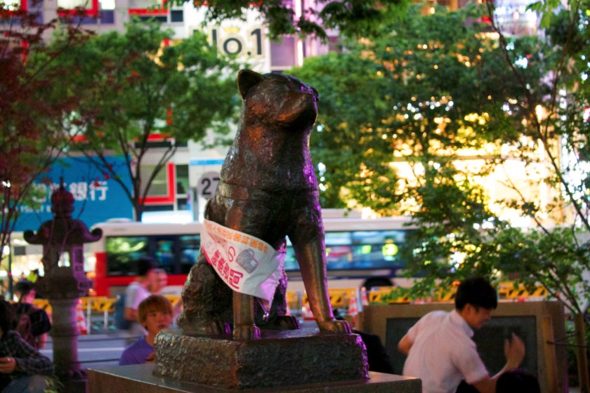 C8C0725C-4AF3-49D9-8847-C5ADDE88B743