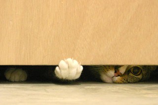 Under the door