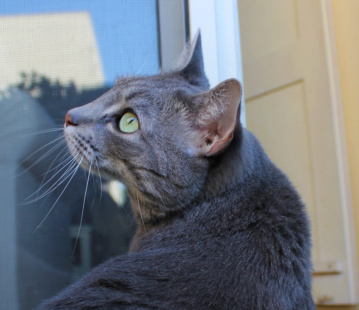 Reminder: I’m Still Devastatingly&nbsp;Handsome