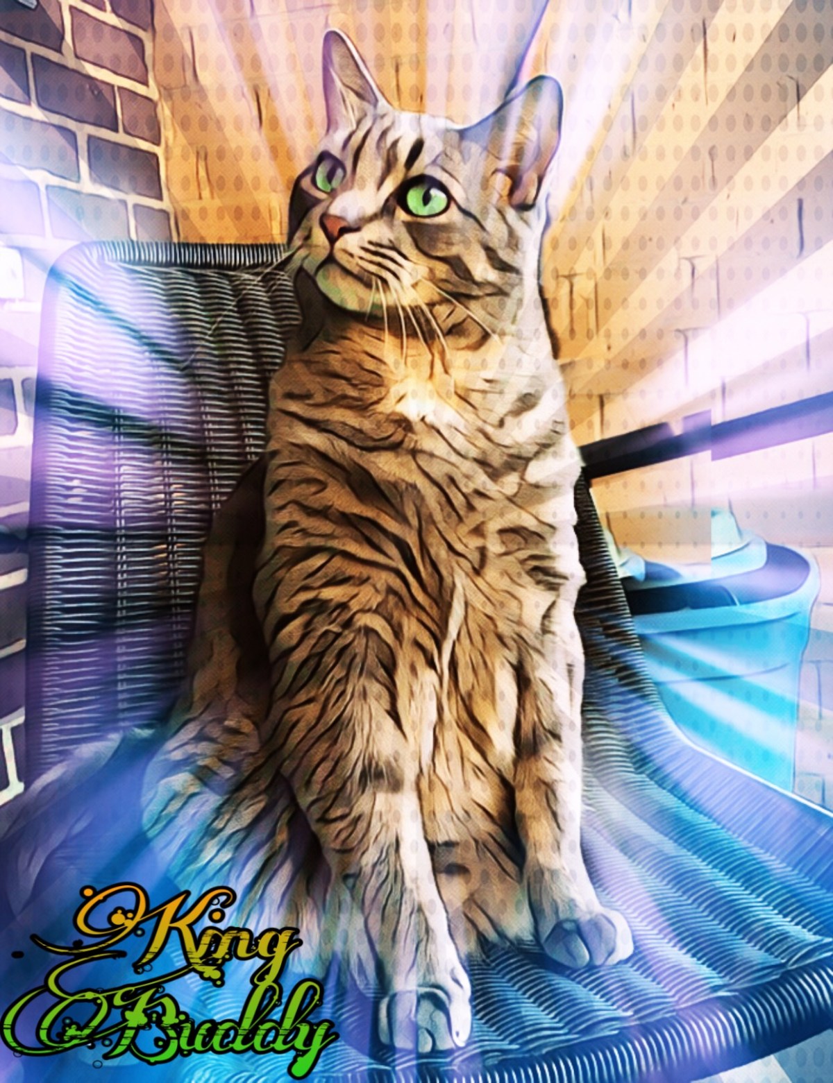 2019 Official Royal&nbsp;Portrait