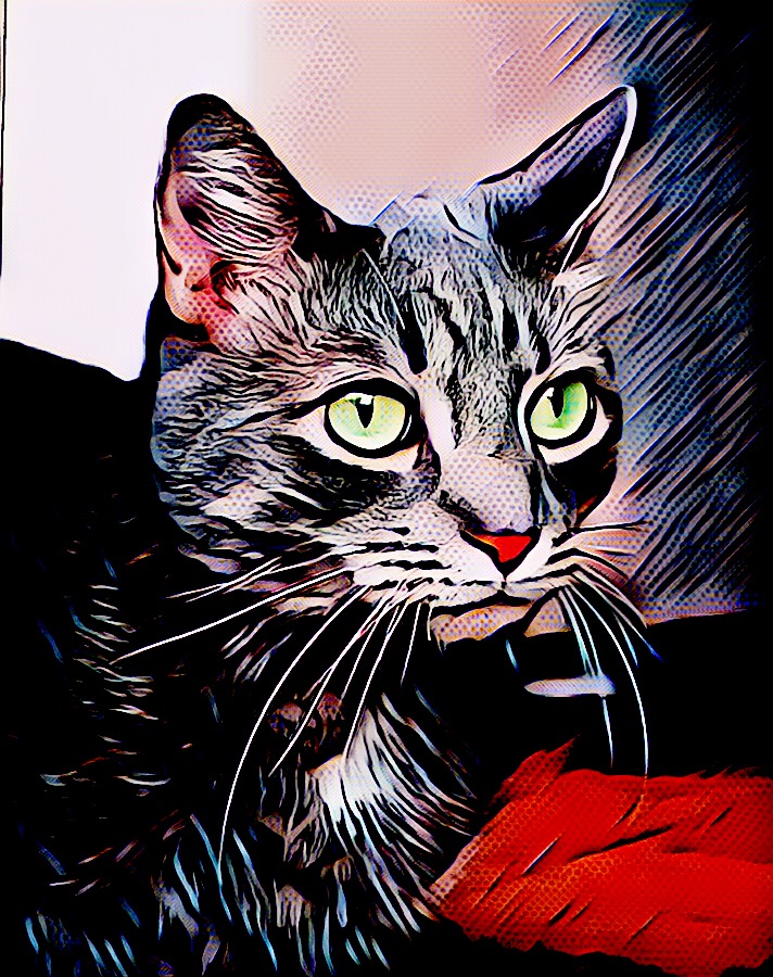 Happy International Cat&nbsp;Day!