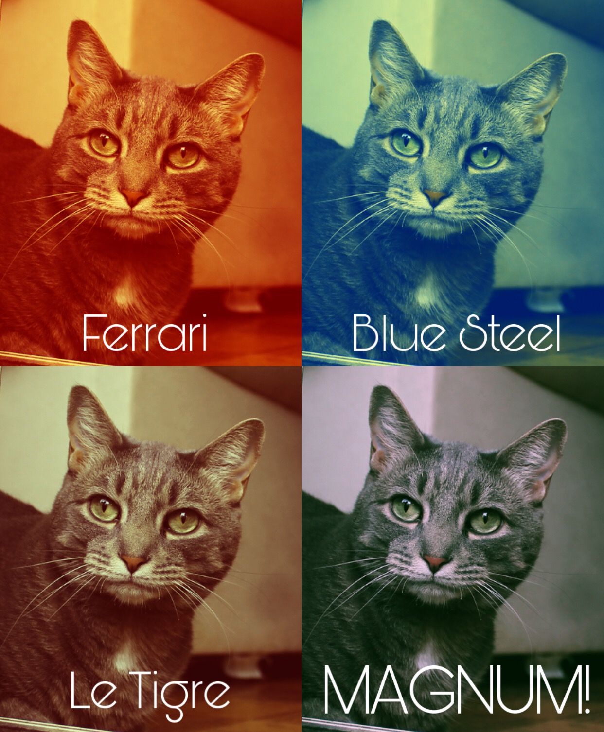 Buddy Derek Mewlander