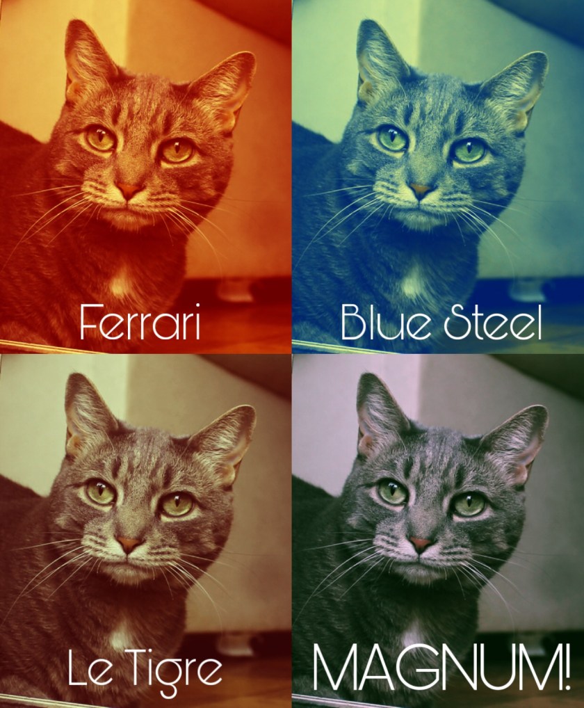 Buddy Derek Mewlander