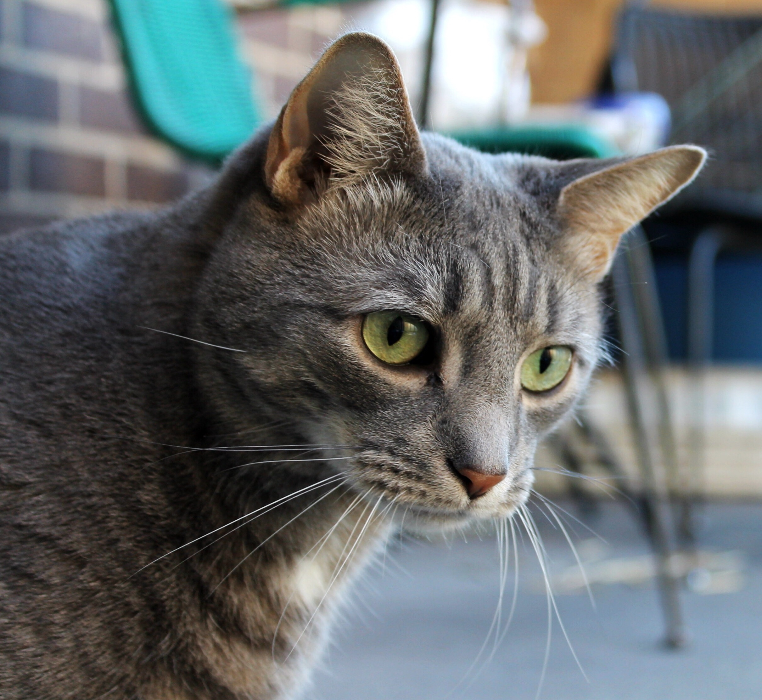 85061C46-0A57-436A-9C1C-BB7CE53CDE30