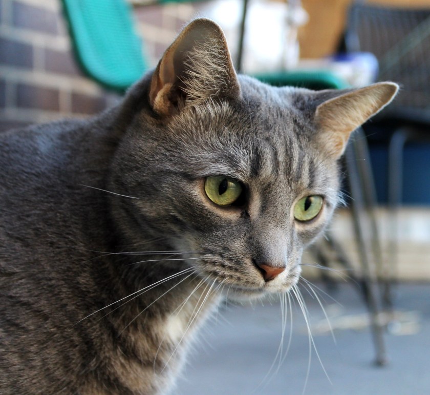 85061C46-0A57-436A-9C1C-BB7CE53CDE30