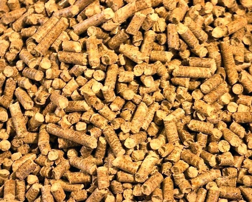 A8DAD129-95DA-4184-A238-8F881BCA0533