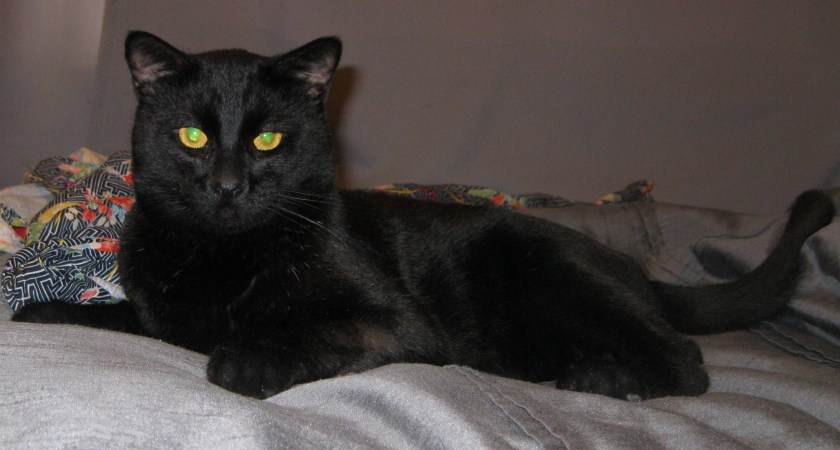 Frank, Earl of Los Angeles