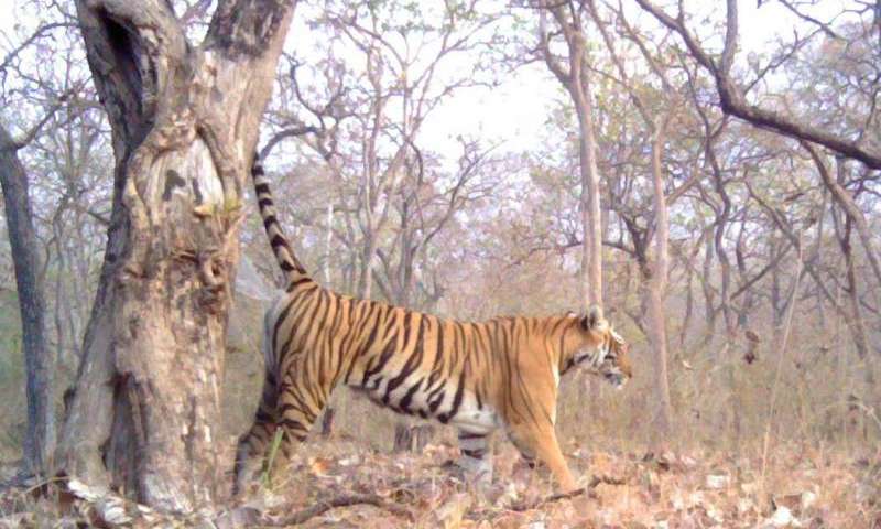 DB2669C0-4432-465D-B7A7-504891528BEA