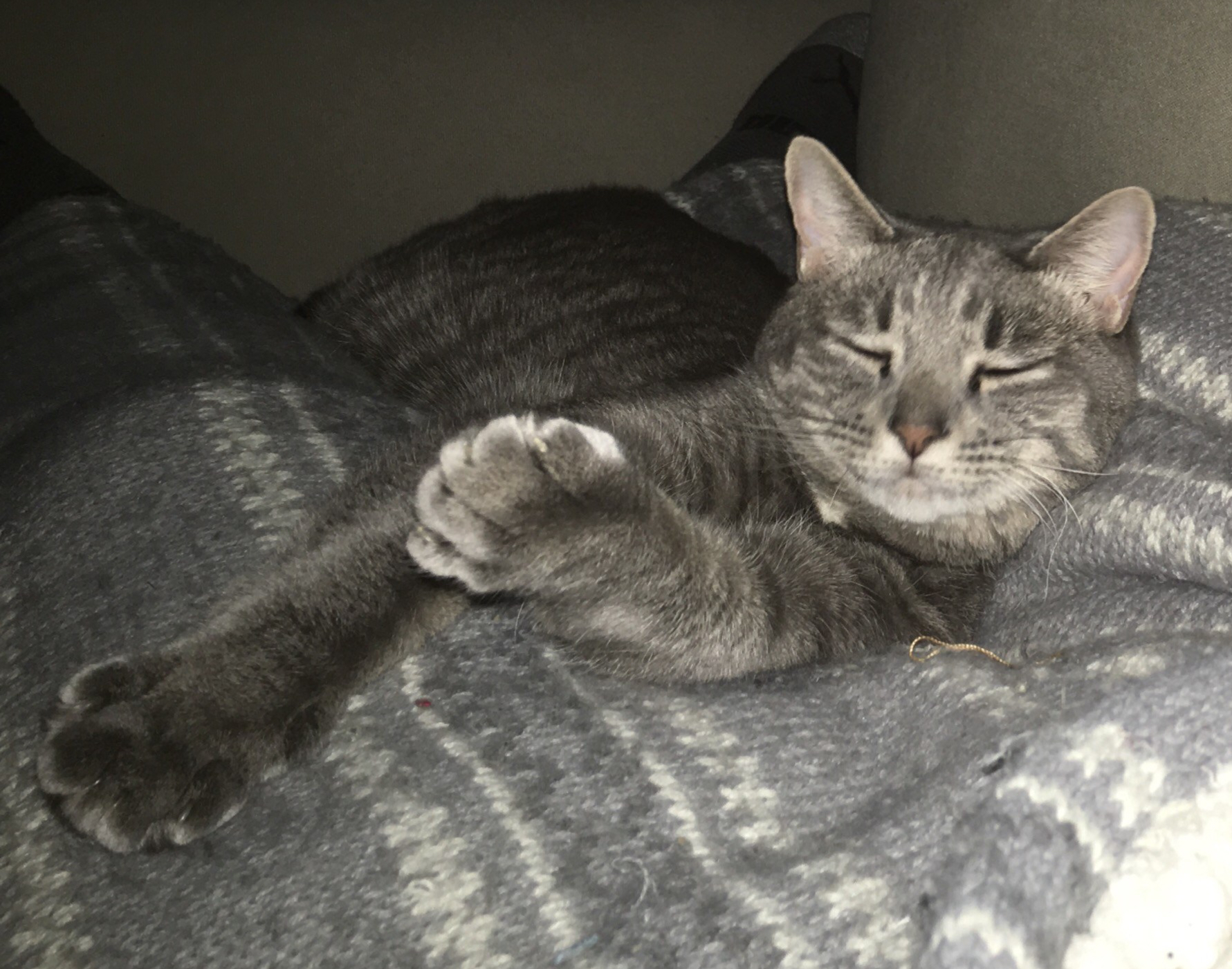 DCED9394-81DB-444F-B43A-E53F2033A65E