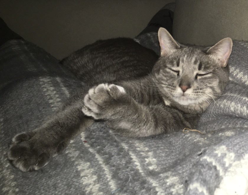 DCED9394-81DB-444F-B43A-E53F2033A65E