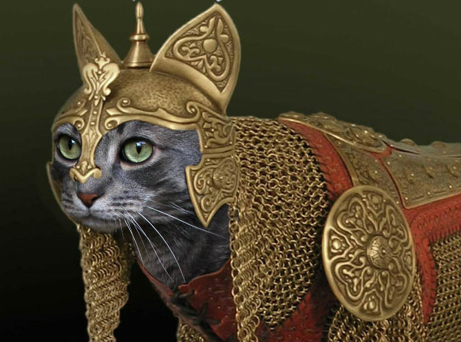 The “Best” Halloween Costumes For&nbsp;Cats