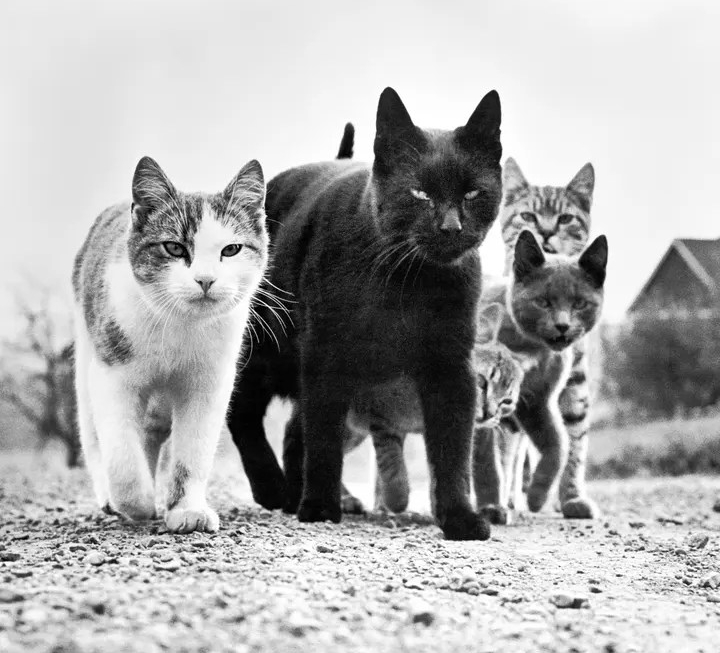 That’s A Real Nice Pantry You Got There,&nbsp;Kid