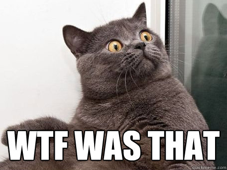 Japan’s Traffic Safety Video…For&nbsp;Cats