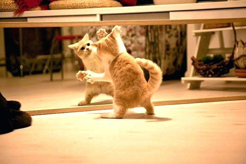 28D7AC72-FC82-4152-ABA1-37791C91378C