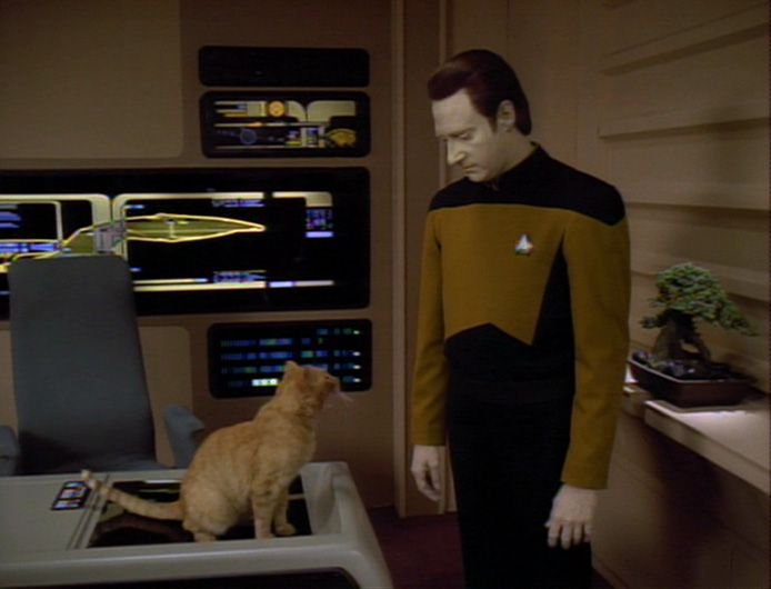 4094c82068ff268f91c1c8e3d6a54d32