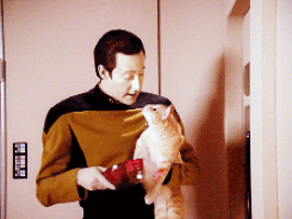 71280ec861512a2d1275de16e97ac657ee19b488_00