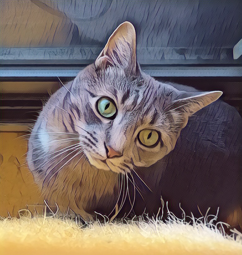 Cat Servant Quarterly Performance&nbsp;Review