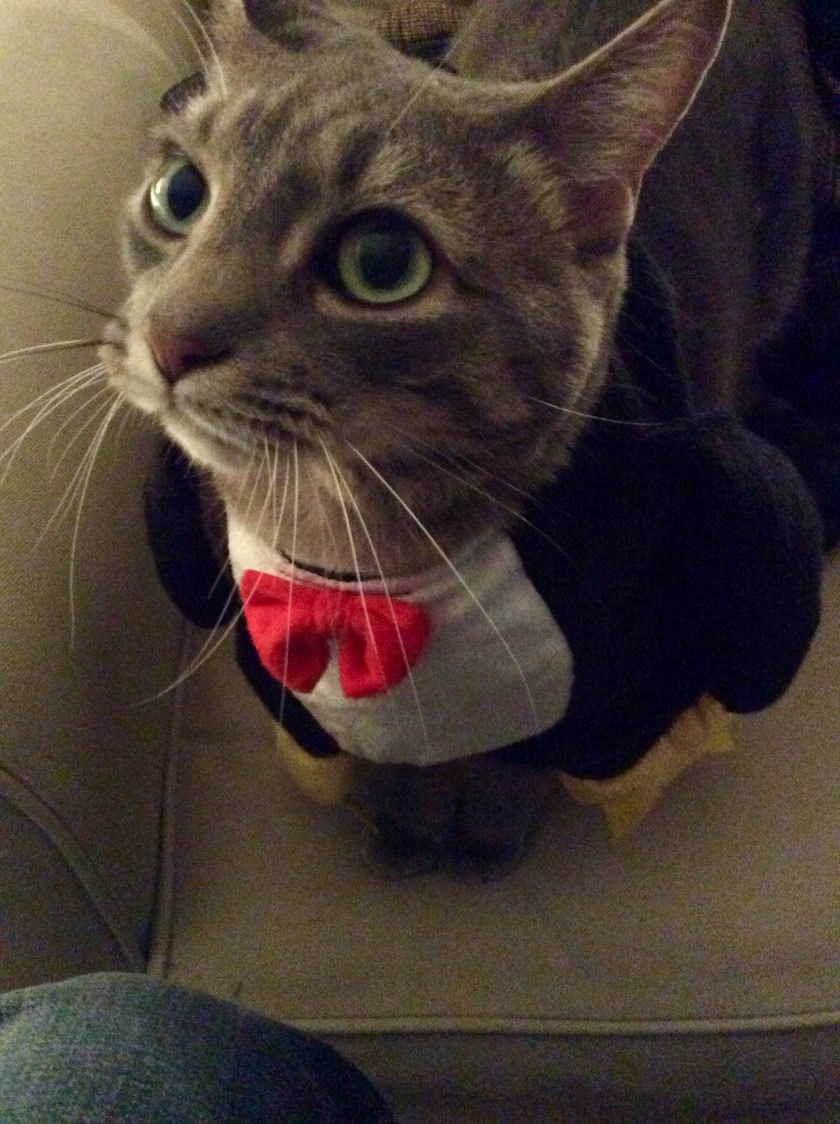 8F602B96-1C26-445D-9FFC-13348FA83B42