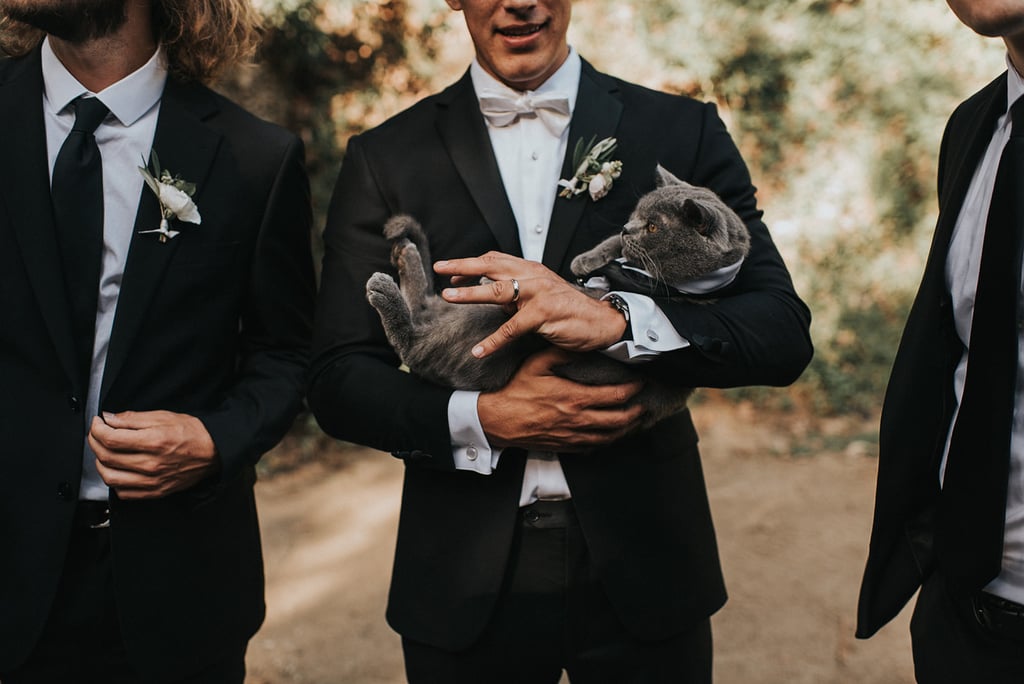 Groom Makes His Cat His Best&nbsp;Man
