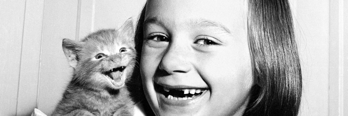 An Early Stocking Stuffer for Cat&nbsp;Lovers