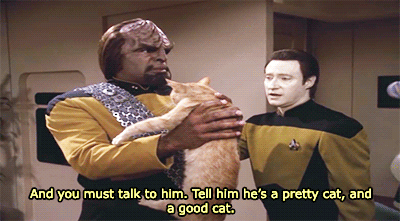 tumblr_p1sv4uV2aF1u501aoo4_400