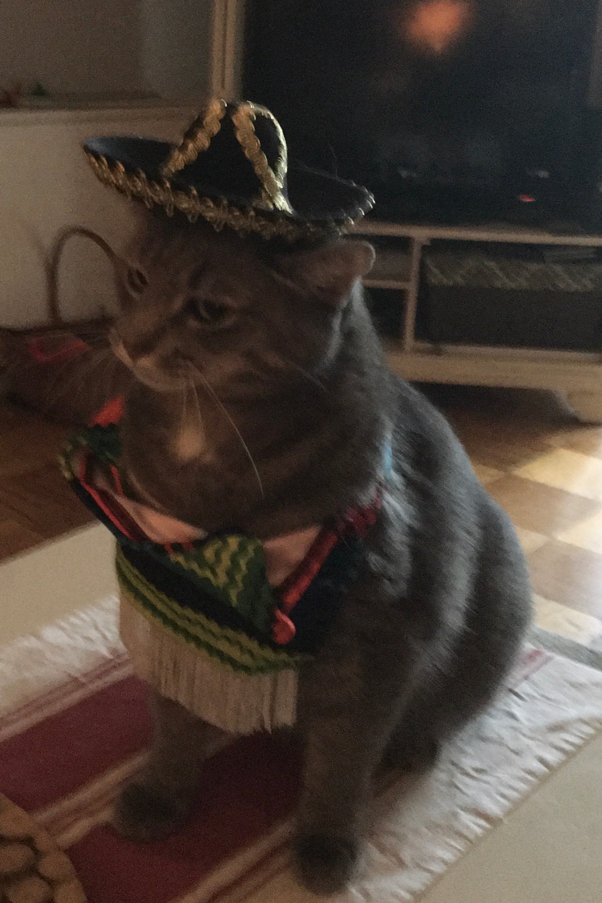 Happy Halloween from&nbsp;Buddy!