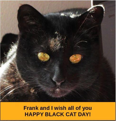 Frank the Cat