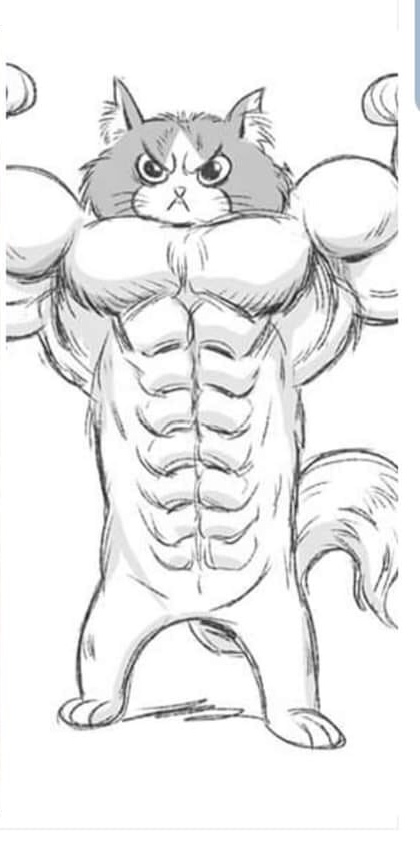 768CA904-946A-40A0-ABB6-53AD86EEDA23