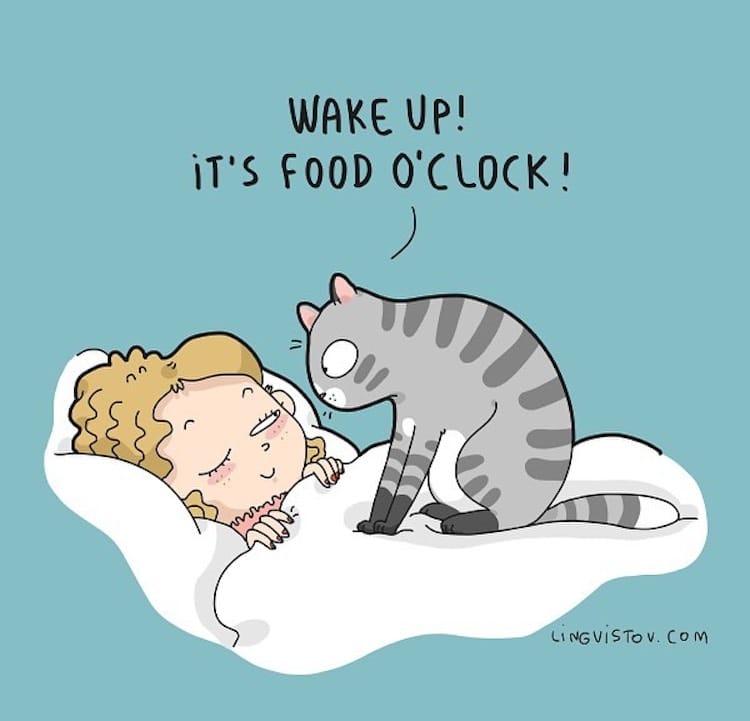 Food O’Clock