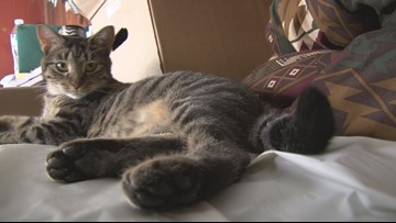 D6F359FC-9ED3-46F6-9445-79747A4425B5