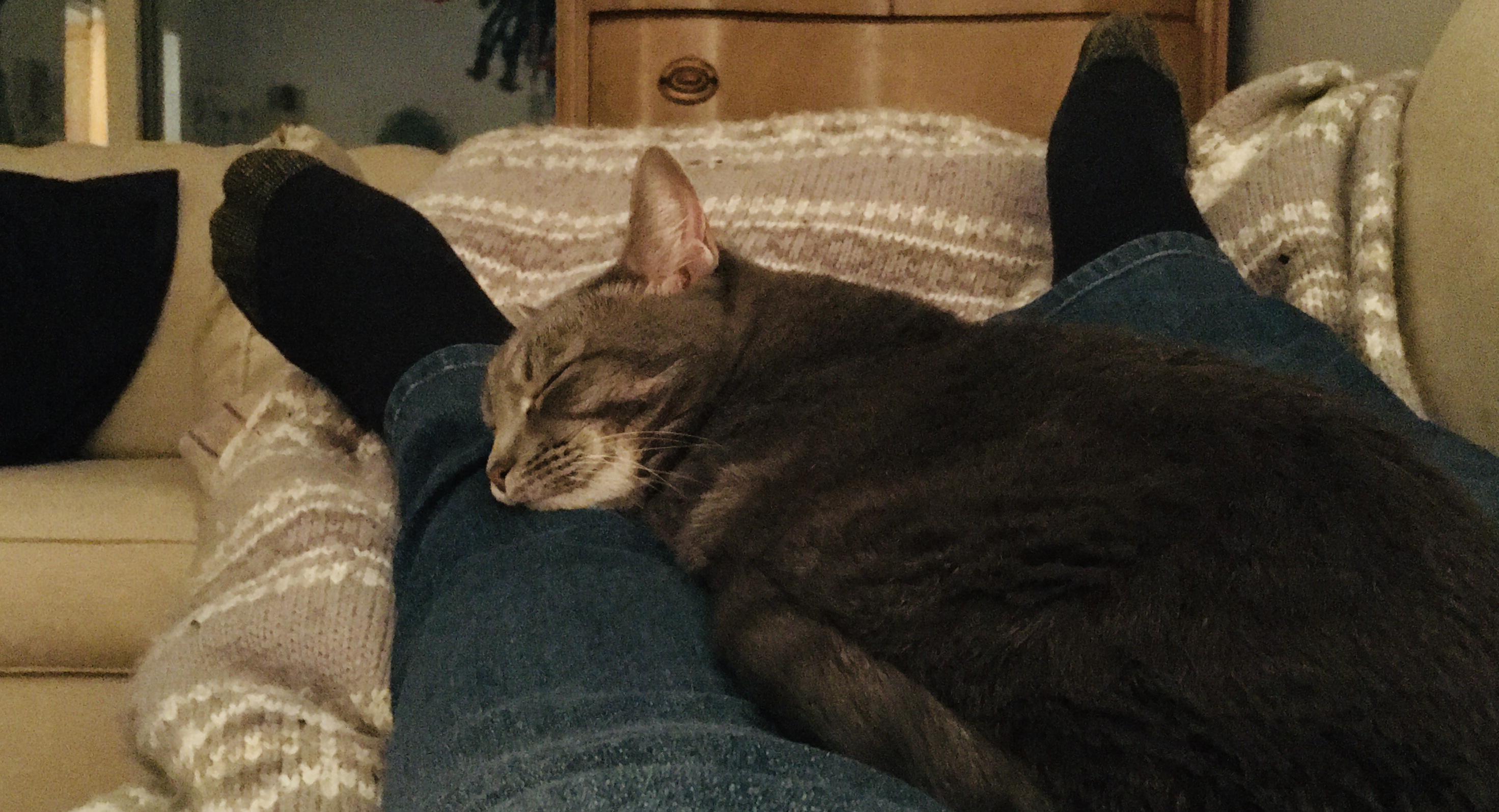 559295FD-E1B5-4037-8469-DB4C5D896834