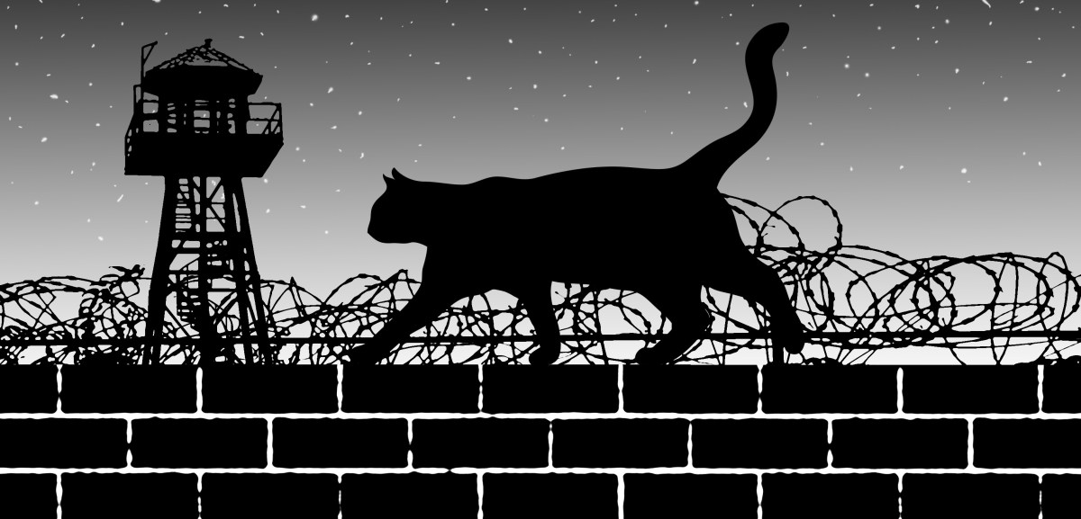 Cat Caught Smuggling Drugs Into Russian Penal&nbsp;Colony