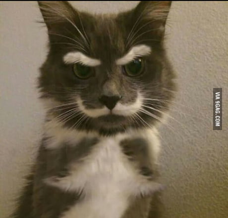 9ACC4441-CE23-4FD8-9301-8B1DBD046D4A