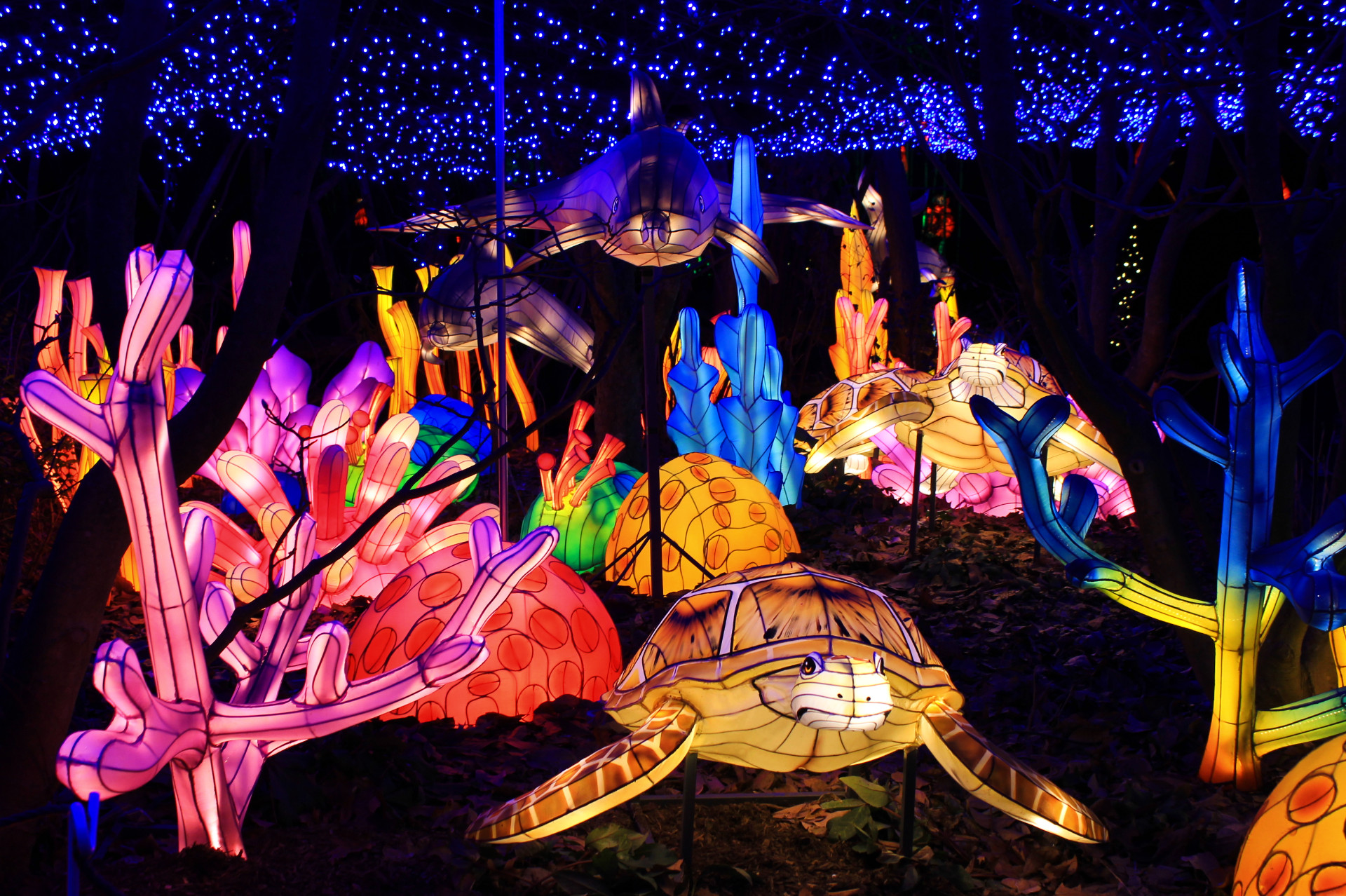 Bronx Zoo Winter Wonderland