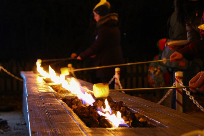 Bronx Zoo Winter Wonderland