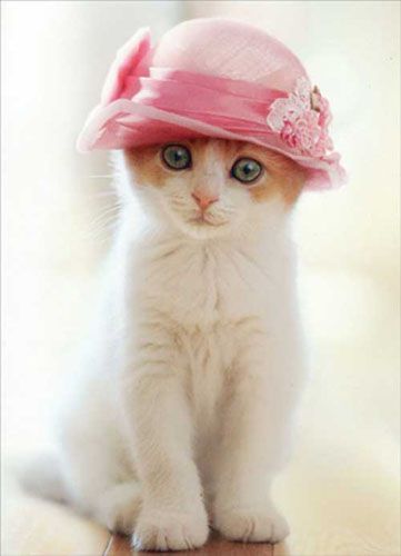 DD2573FD-2AD2-4816-B39F-1052CA377730