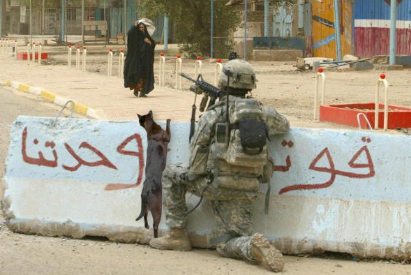 Rescuing A Pet From War: How Americans Help Cats, Dogs Escape&nbsp;Hell