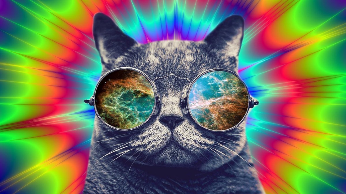 Buddy Gets A Reading From A Pet&nbsp;Psychic!