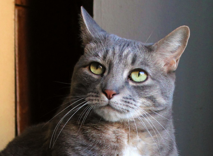 Buddy Wants YOU to Follow These&nbsp;Sites!