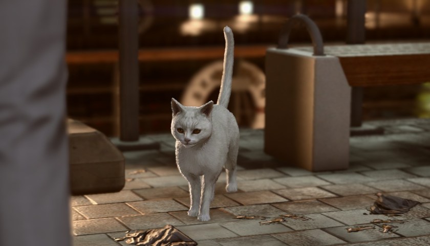 A cat in Yakuza Kiwami 2